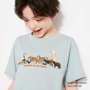 Camiseta Uniqlo National Museum Of Nature And Science Tokyo Ut Estampadas Niños Verde Claro | 2178DBYZA