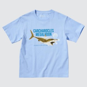 Camiseta Uniqlo The Smithsonian Ut Estampadas Niños Azules | 6048BFOTV