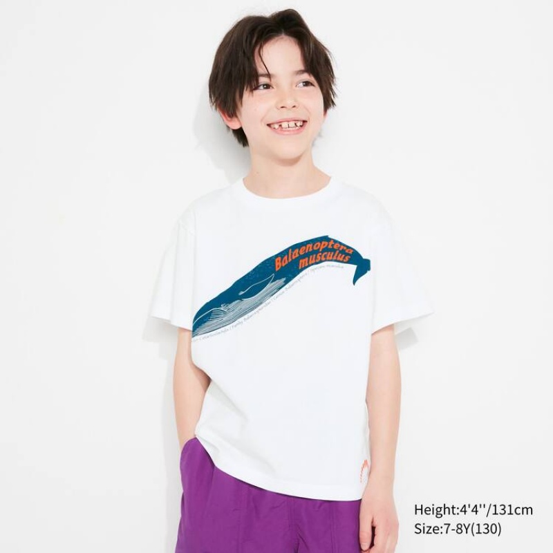 Camiseta Uniqlo National Museum Tokyo Ut Estampadas Niños Blancas | 6034RWYGZ