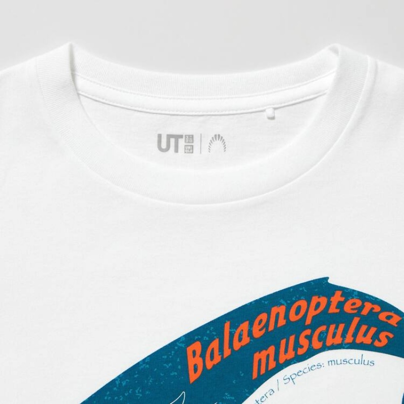 Camiseta Uniqlo National Museum Tokyo Ut Estampadas Niños Blancas | 6034RWYGZ